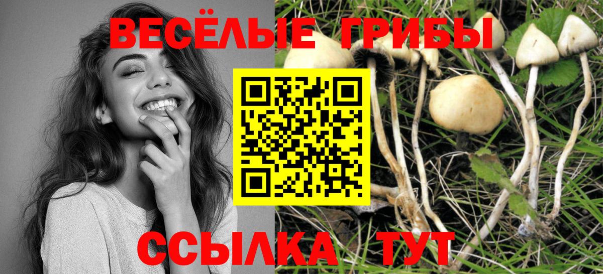 Галлюциногенные грибы мицелий  Вход с VPN  Кувандык 